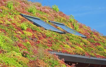 Chettle living roof systems