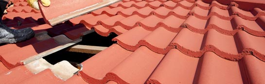 compare Chettle roof repair quotes
