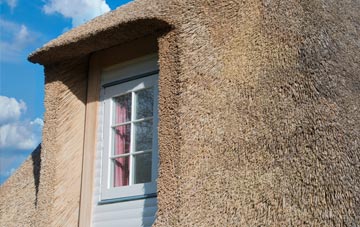 Chettle thatch roof disadvantages
