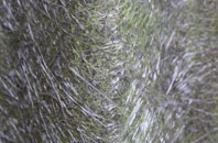 Chettle fibreglass roof work